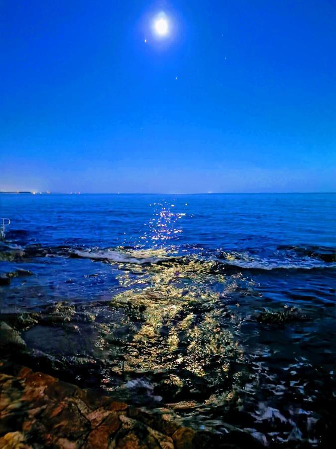 Aria Deluxe Superior 5 Star Apartment, Your Piece Of Heaven By The Sea & Park, With Sea & Park View Lägenhet